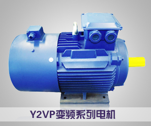Y2VP变频系列电机