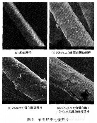 什么毛鳞角成语_成语故事图片(2)