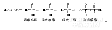 聚醚磷酸酯的制备及在湿布丝光中的应用
