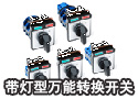 带灯型万能转换开关