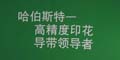 CH-80000型双轨独立式全自动电脑印花机导带--科动公司