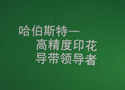 瑞士哈伯斯特Habasit参加2012ITMA