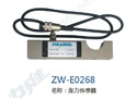 涨力传感器 ZW-E0268