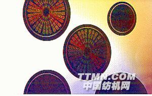http://www.ttmn.com/image.ashxid=80972