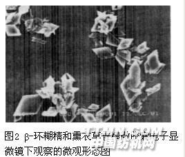 印染在线