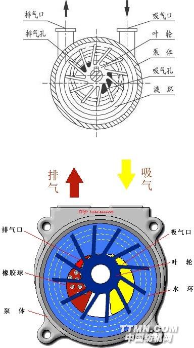 水循环式真空泵的工作原理