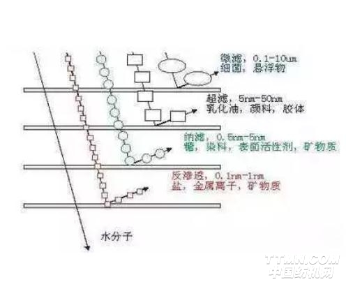 草甘膦的原理_湖南农业大学阐明植物代谢草甘膦并产生抗药性的分子机理